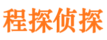 马村调查公司